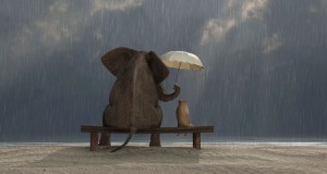 El rol estratégico de la extensión de marca