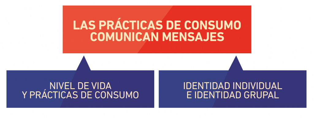 Prácticas de consumo 